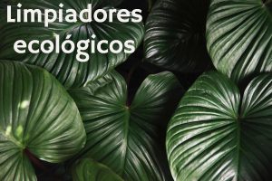 principales productos ecologicos para limpiar alfombras